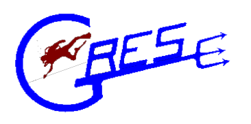 Logo classic gres plongée