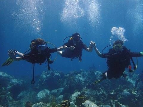 Photo de groupe sous l'eau